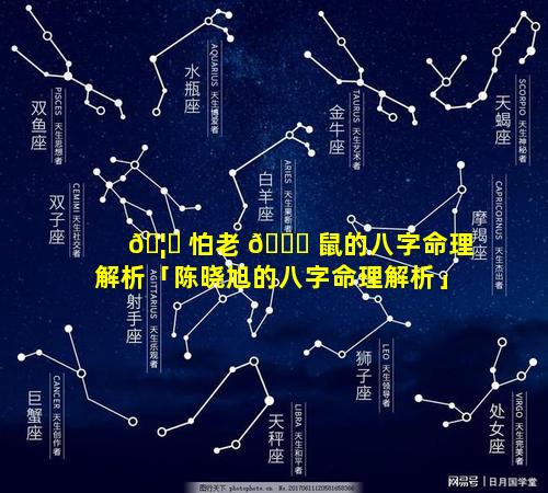 🦈 怕老 🐋 鼠的八字命理解析「陈晓旭的八字命理解析」